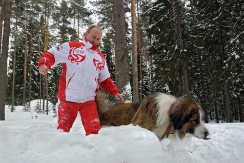 普京帶著寵物犬在雪地里散步。