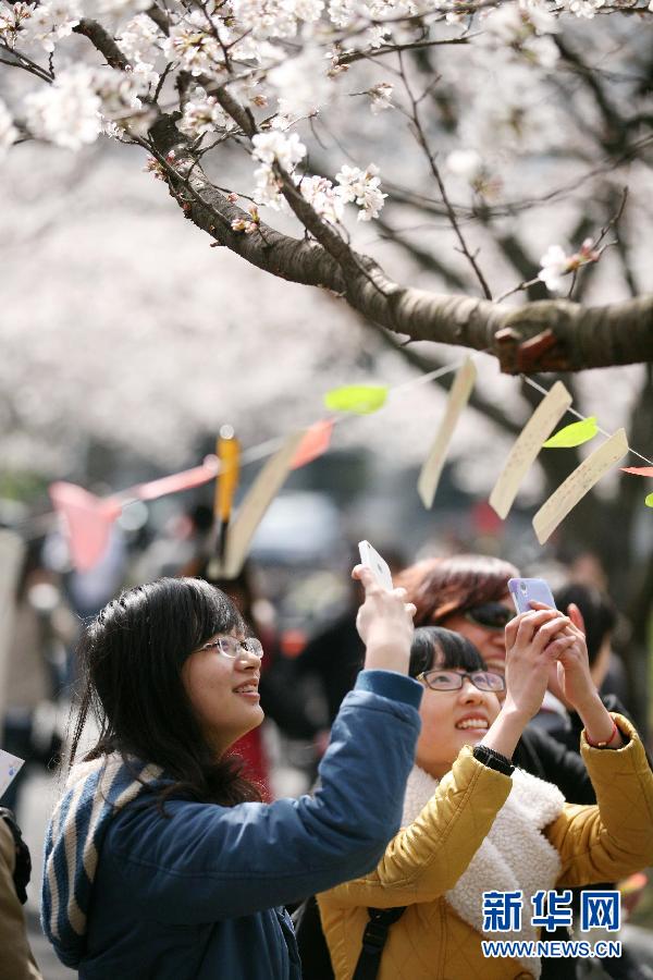 #（晚報(bào)）（2）校園“微情書(shū)”傳達(dá)心意