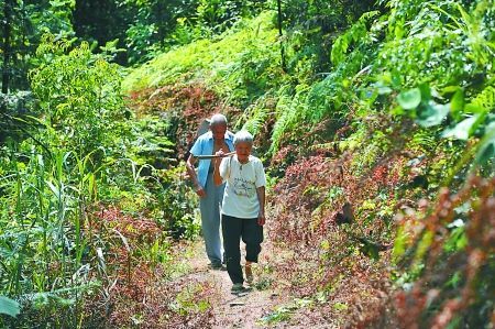 長壽區江南街道天星村，雷卓禮和妻子黃茹杰走在“愛情小路”上。