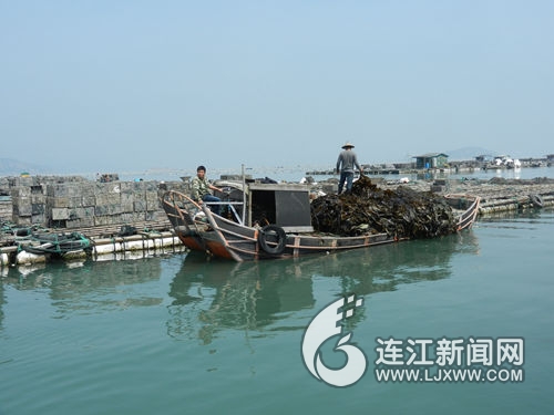 福州新聞網