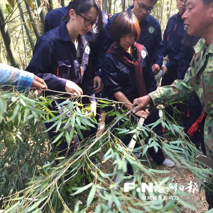 臺灣大學生來榕學習飼養熊貓